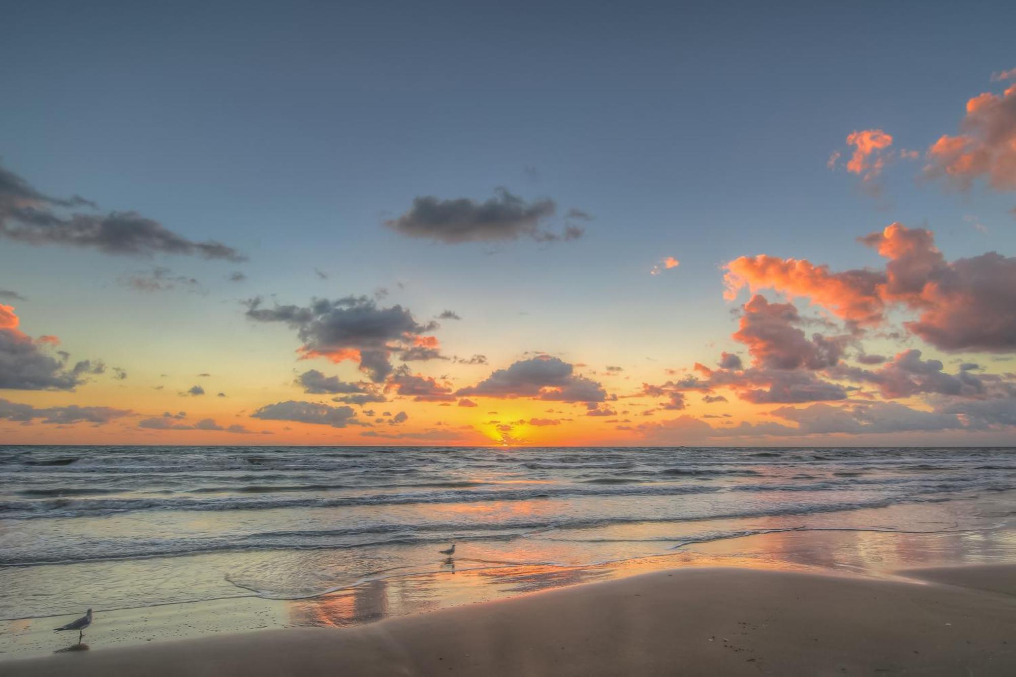 Surfside Condos South Padre Island Camera foto